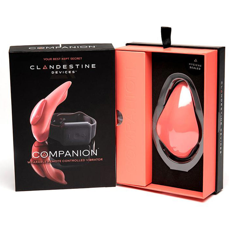 The Companion Remote Control Panty Vibe